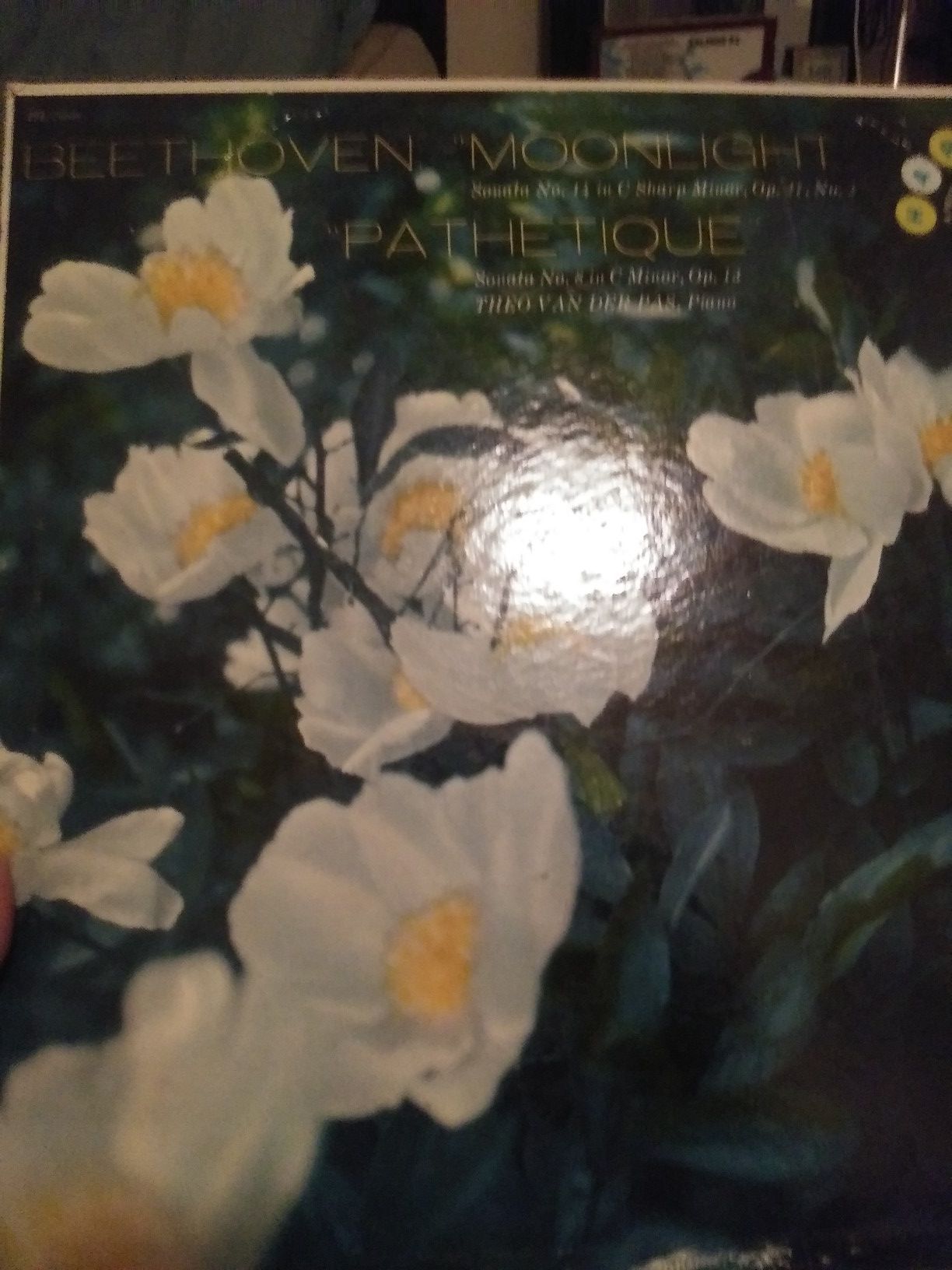 Beethoven: Piano Sonatas Nos.8 "Moonlight", 14