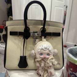 Birkin 25 (Togo Leather)