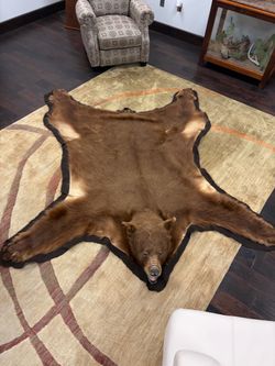 Black bear rug
