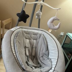 Graco Baby Swing/Bouncer