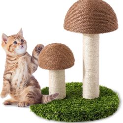 For cat