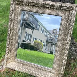 Beautiful Champagne ornate BV Framed Wall Mirror