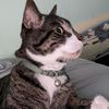 Charles