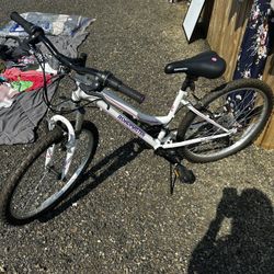 Roadmaster Brand Bike 