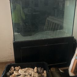 150 gallon fish tank