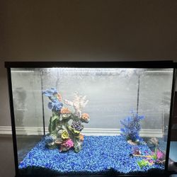 35 Gallon Fish Tank And Light 