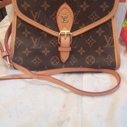 Louis Vuitton Bag Authentic