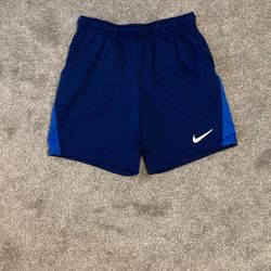 Nike Mens Running / Workout/gym Shorts