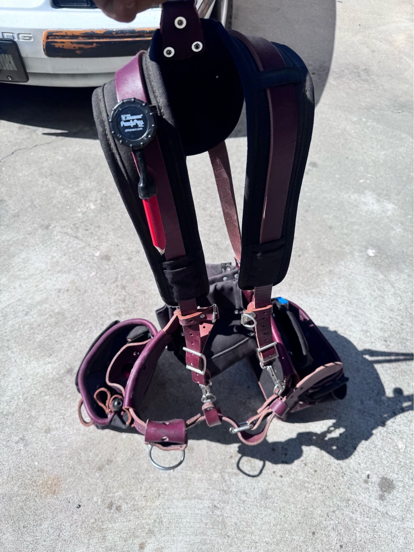 Occidental leather (large)