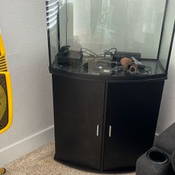 Fish Tank 