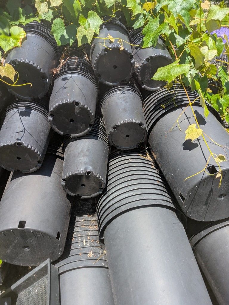 Nursery plant pots .