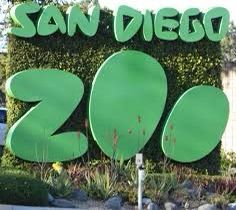 Sand Diego Zoo