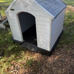 Dog House 
