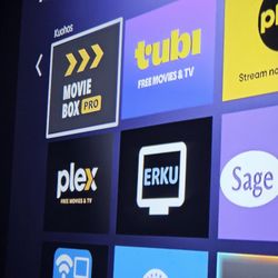 Roku Stick With Movieboxpro 