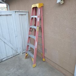 6 Ft. Ladder