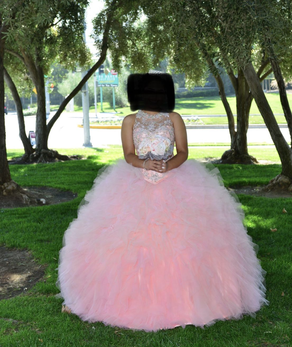 Blush Quinceañera Dress Large