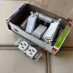 White Paddle Light Switches