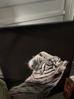 canvas wall art