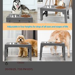 Elevated Dog Bowl Feeder with 2 stainless steel bowls