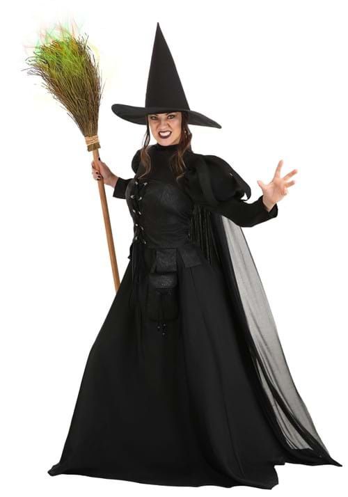 Women (Medium) - Wicked Witch Costume