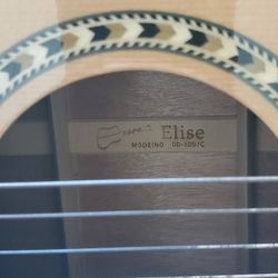 Guitar