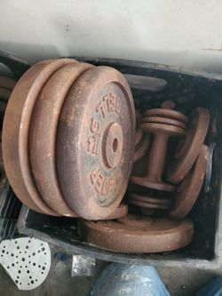 Pesas para ejercicio