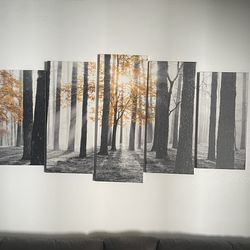 5-piece Wall Art 60”x32”