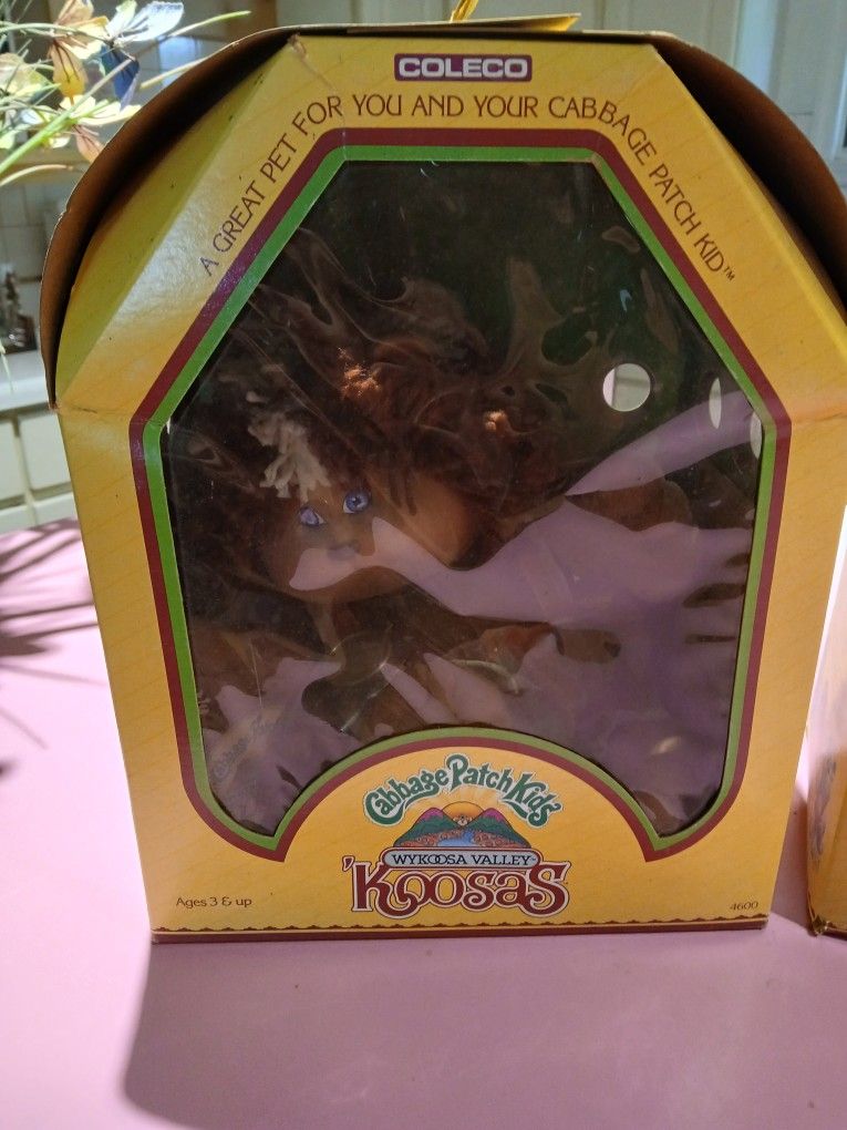 Cabbage Patch Koosas