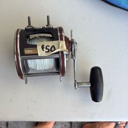 Penn 113h 4/0 Senator 