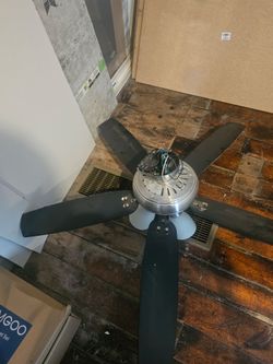 Ceiling Fan