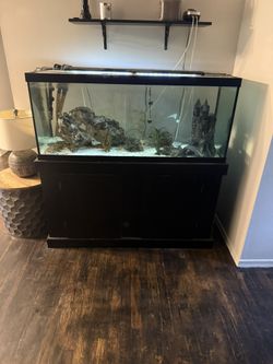 75 Gallon Fish Tank And Cabinet - Filter, Light, Heater Everything Included