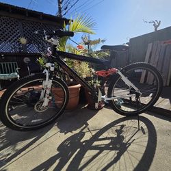 Genesis V2100 Mountain Bike