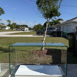 Modern Bent Glass Coffee Table – Minimalist Clear Glass
