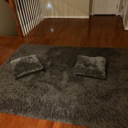 Area Rug