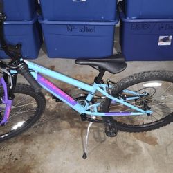 Mountain Bike