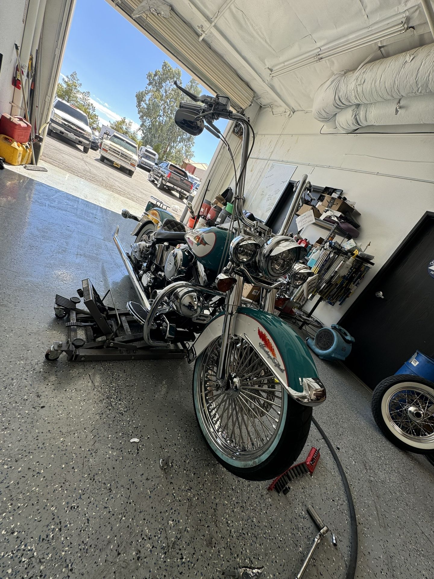 Harley Davidson softail