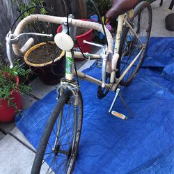 Kia 10 Speed Woman’s Bike