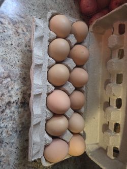Farm fresh Eggs