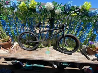 2003 premium 20.5” build