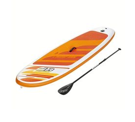 Paddle Board 