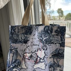 Christian Dior Book Tote