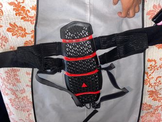 Dainese back protector 2.0