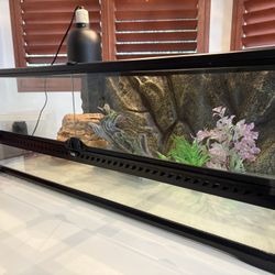 Reptile Enclosure