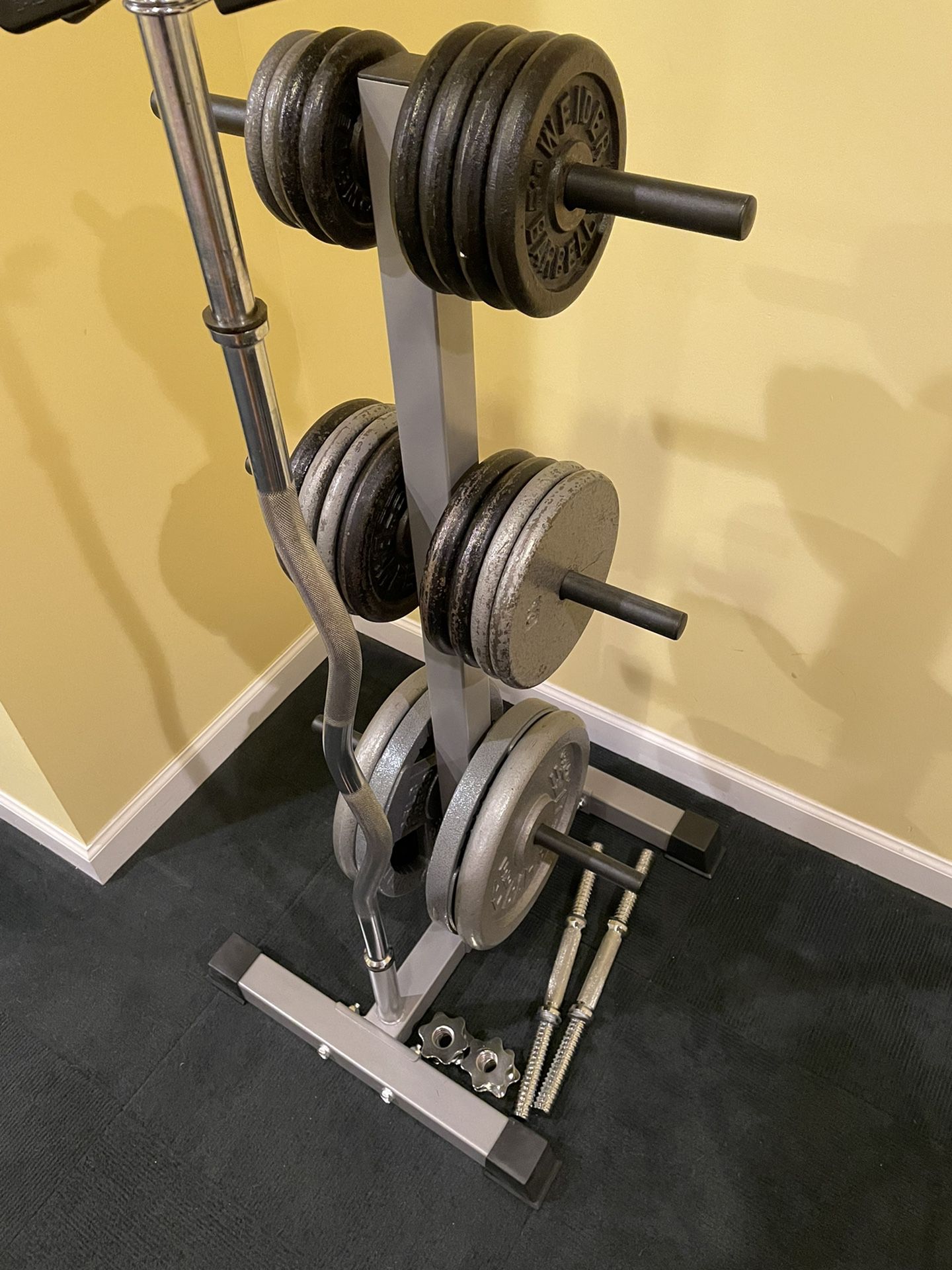 Weights, Valor Fitness Weight Tree, EZ Curl Bar, Spin Lock DB Handles