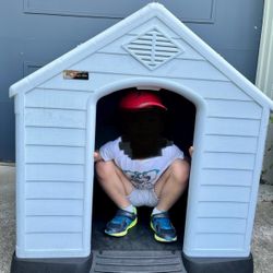 Dog House NEW