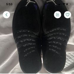 Jordan 12 Dark Concord 