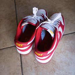 Nike dunks low size 10