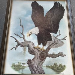 Original Painting By Lee Leelan Bald Eagle 