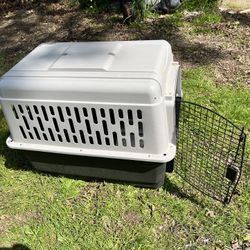 Pet Taxi 