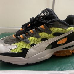 Puma Cell